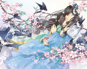 芒果回家视频在线观看完整版